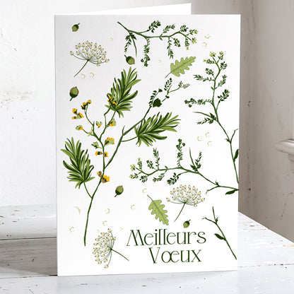 Botanica - Lot de 6 belle cartes Bonne Année