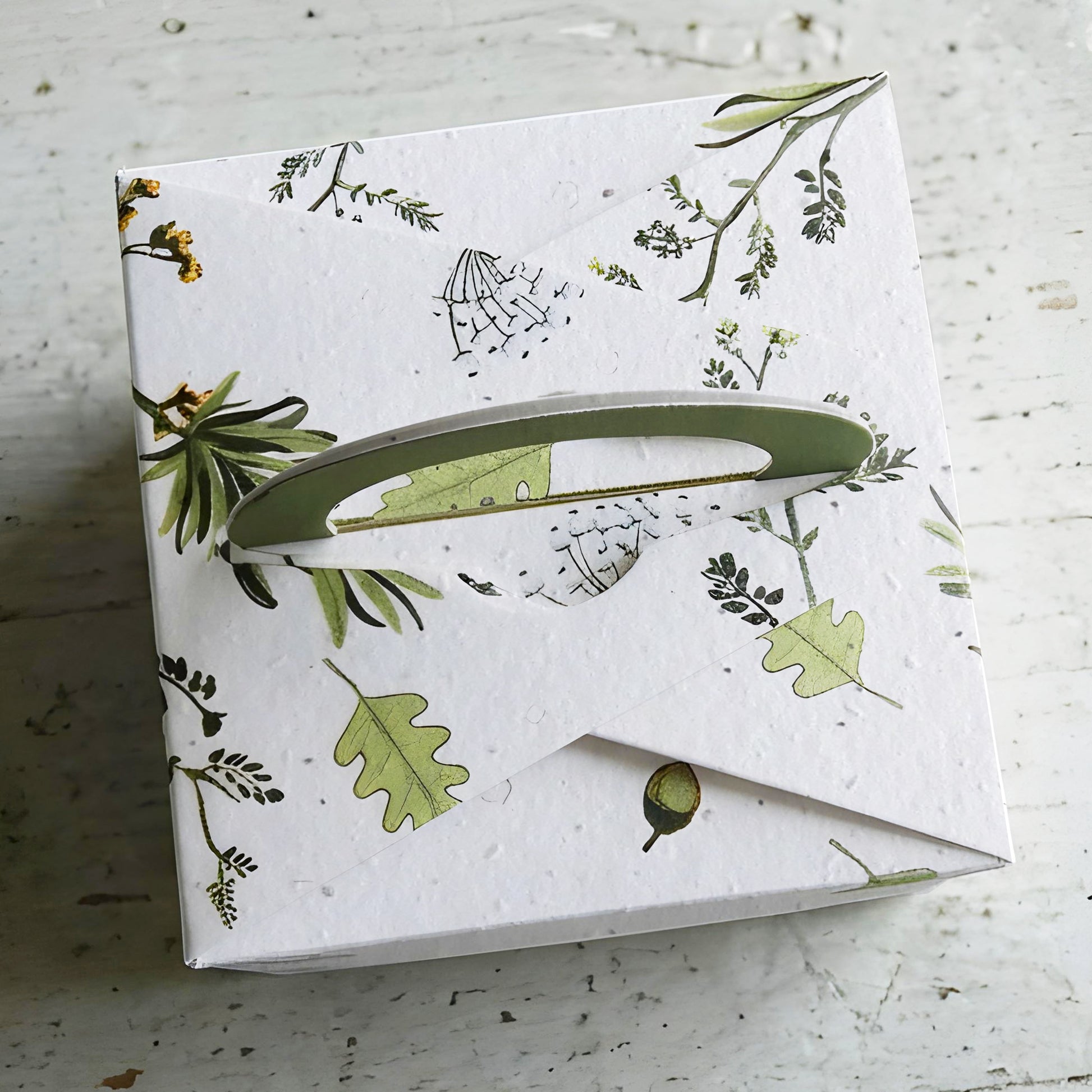Botanica bombes à graines de fleurs cadeau