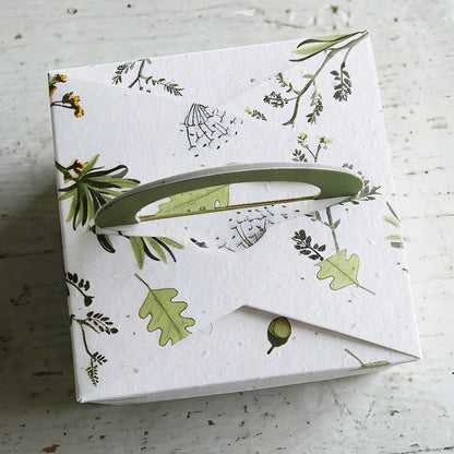Botanica bombes à graines de fleurs cadeau