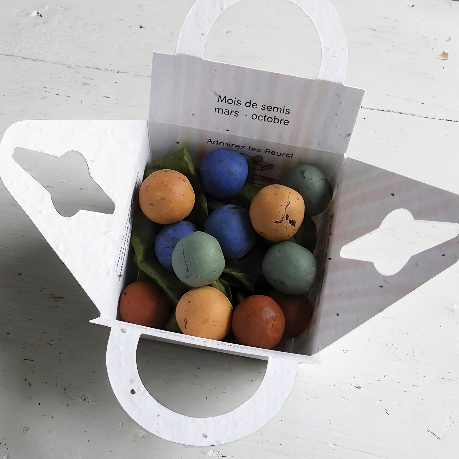 bombes à graines de fleurs anniversaire cadeau