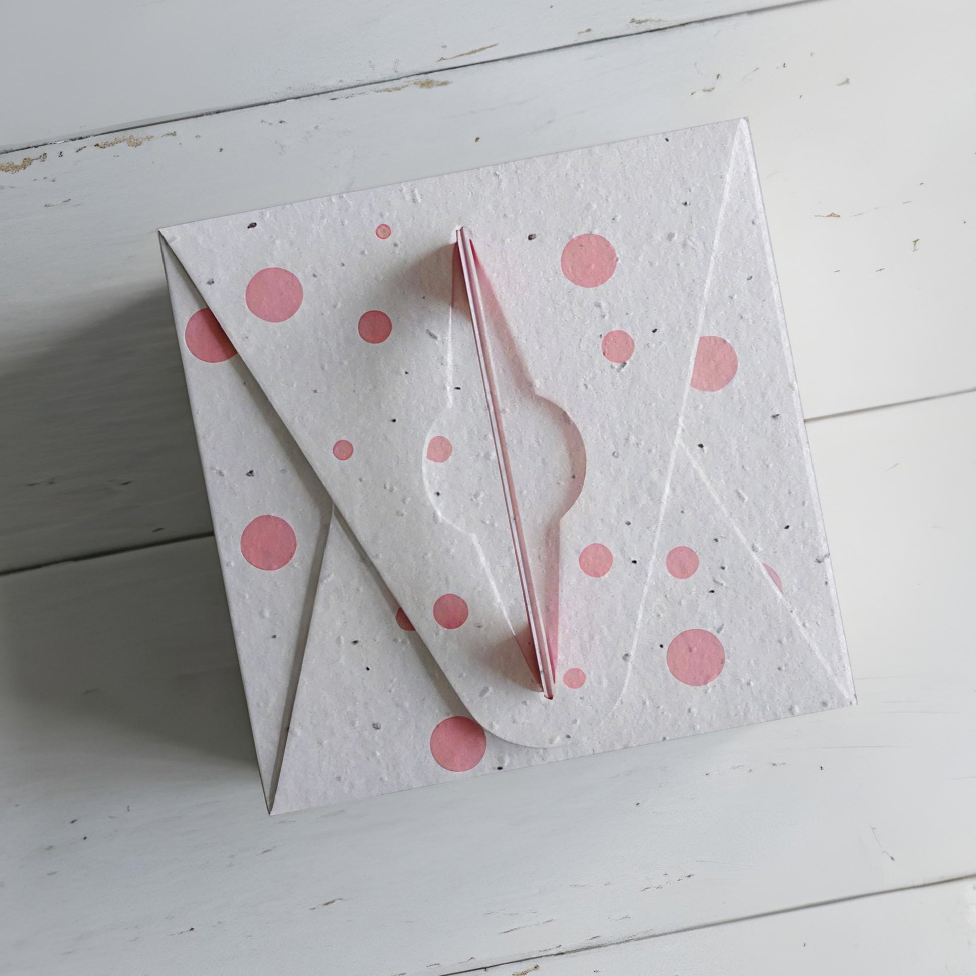 Pink Polka bombes à graines de fleurs cadeau anniversaire